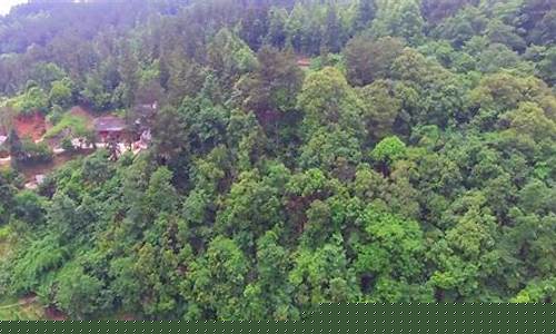 螃蟹地势风水如何(螃蟹地阳宅风水)-命理之家