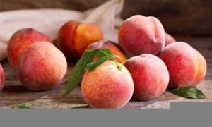 梦到摘桃子(梦到摘桃子吃)-命理之家