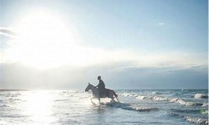 梦到骑马(梦到骑马逃跑)-命理之家