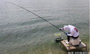 梦到钓鱼钓到大鱼(梦到钓鱼钓到大鱼又放生了)-命理之家