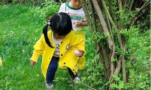 梦到捡鸡蛋(梦到捡鸡蛋是什么意思周公解梦)-命理之家