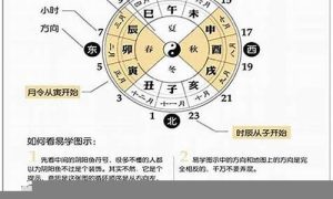 八字如何看桃花(八字如何看桃花星)-命理之家