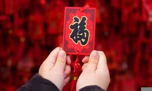 生肖马明天财运如何(生肖马明天财运如何呢)-命理之家