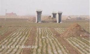 平原如何找风水好墓地(平原怎样选择风水墓地)-命理之家