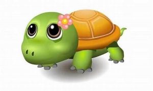 梦到乌龟(梦到乌龟是什么意思)-命理之家