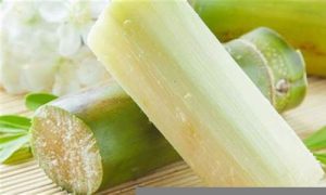 梦到甘蔗代表什么预兆(梦到甘蔗代表什么预兆周公解梦)-命理之家