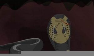 胎梦梦到蛇(胎梦梦到蛇是什么预兆)-命理之家