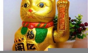 招财猫如何摆放(招财猫咋摆放)-命理之家