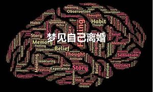 梦到离婚(梦到离婚了是什么征兆)-命理之家