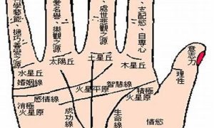 如何看手相婚姻线(看手相婚姻线是哪一条)-命理之家