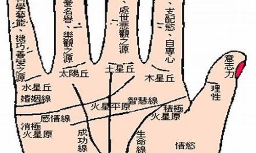 如何看手相婚姻线(看手相婚姻线是哪一条)-命理之家