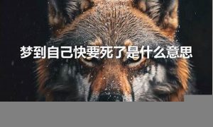 梦到自己快死了(交代后事)-命理之家