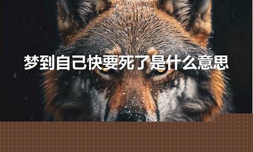 梦到自己快死了(交代后事)-命理之家