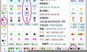 如何查询五行缺什么(怎么查询五行缺什么 生辰八字计算)-命理之家