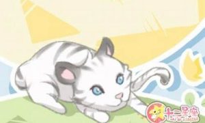 梦到猫咪(梦到猫咪咬我怎么回事)-命理之家