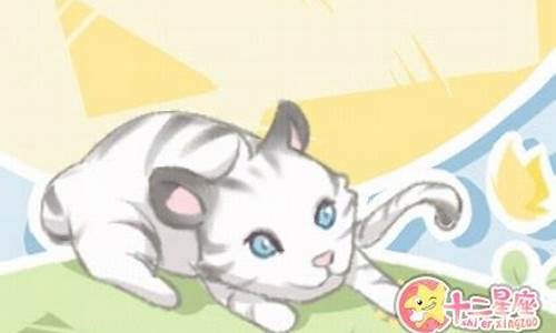 梦到猫咪(梦到猫咪咬我怎么回事)-命理之家