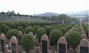 如何选公墓里的墓地(公墓内如何选墓地)-命理之家