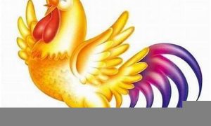 七月的鸡的命运如何(七月的鸡命运怎么样)-命理之家