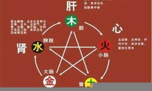 如何补五行(如何补五行水的力量)-命理之家
