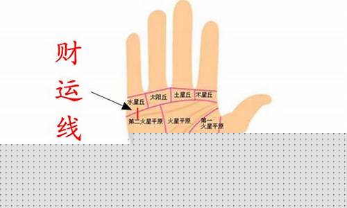 图片[1]-如何从手相看财运(怎么从手相上看财运)-命理之家