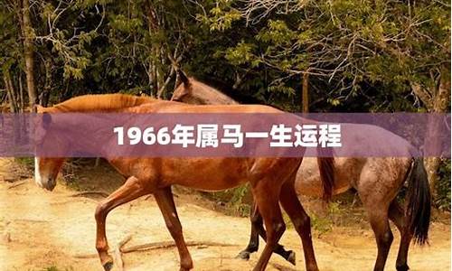 属马一生命运如何(属马一生命运如何女)-命理之家