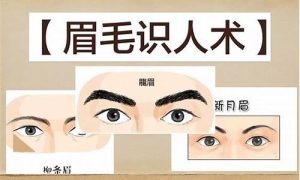 眉白如何(眉毛白怎么了)-命理之家