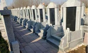 如何选择公墓(如何选择公墓风水位置)-命理之家