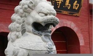 石狮子如何摆放(公母石狮子左右摆放图片)-命理之家
