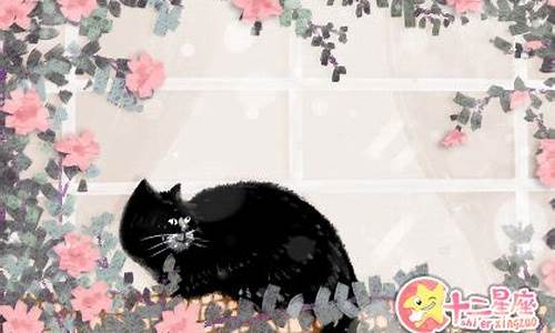 图片[1]-梦到黑猫(梦到黑猫攻击自己是什么意思)-命理之家