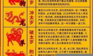 鸡2021年的运势如何(鸡在2021年运势如何)-命理之家
