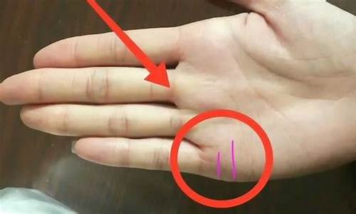 图片[1]-手相如何看婚姻(手相如何看婚姻线有细小的分叉)-命理之家