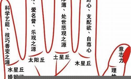 掌纹如何看(掌纹如何看财运)-命理之家