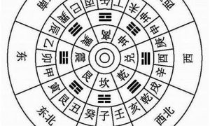 未丑向如何(丑未正向有什么吉凶)-命理之家