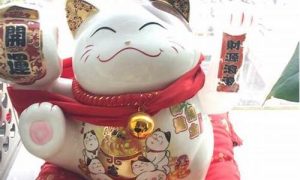 招财猫在家里如何摆放(招财猫在家里怎么放)-命理之家