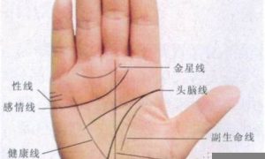 手相如何看婚姻(手相如何看婚姻线有细小的分叉)-命理之家