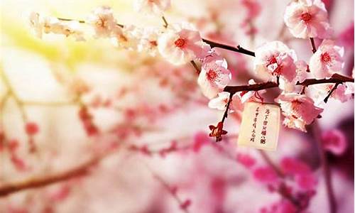 图片[1]-如何破桃花运(怎样破桃花)-命理之家