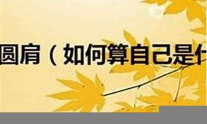 如何知道自己什么命(看自己什么命)-命理之家