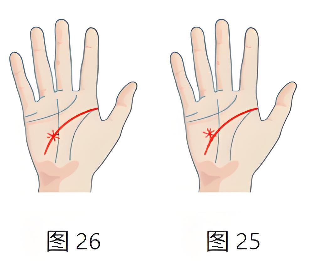 图片[10]-掌纹解读_智慧线怎么看_智慧纹是什么意思_手相智慧线寓意_怎么看手相