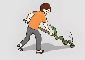 梦见蛇是什么意思？周公解梦详细解析（含不同情境图解说明）-命理之家