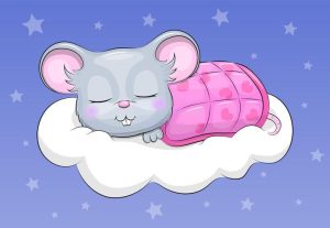 2026年属鼠人运势详解(整体、财运、事业、感情、健康全解析)