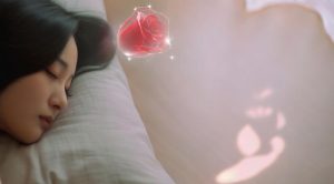 梦见玫瑰花的含义_古籍解梦与心理分析_周公解梦大全