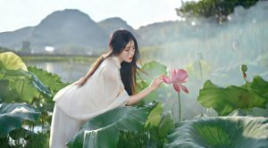 梦见荷花_周公解梦大全