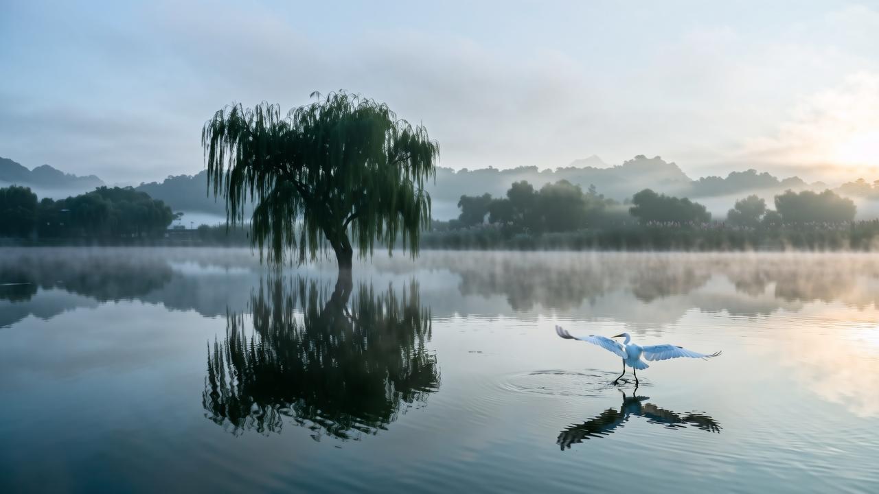梦见湖水